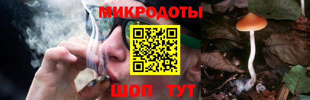 закладки  Галлюциногенные грибы Magic Shrooms  Вход с VPN  Ирбит  Галлюциногенные грибы Cubensis 